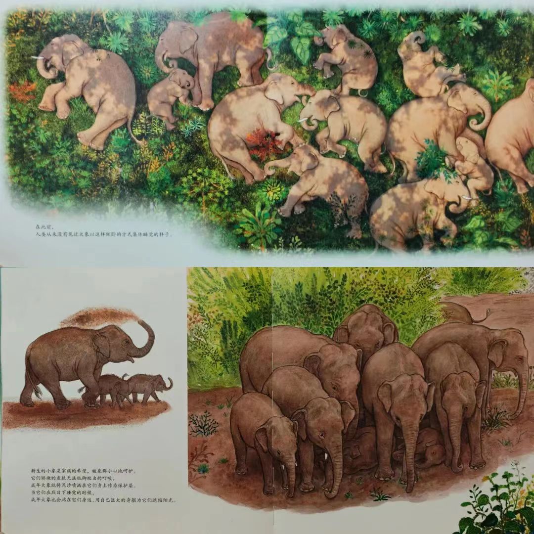 1217816712 1217816712.jpg