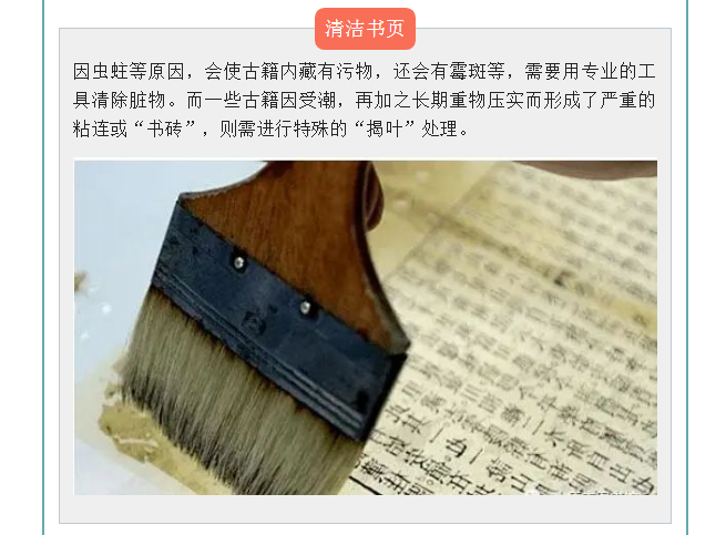 image.png?v=1754275719565