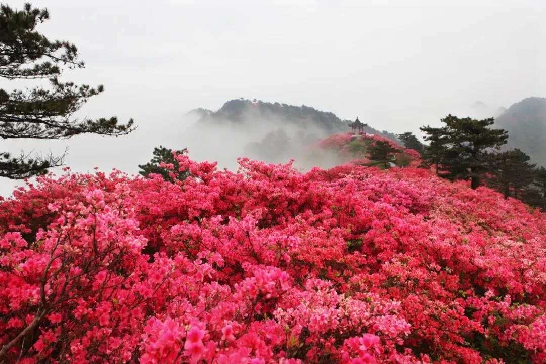 微信图片_20200513150853.jpg