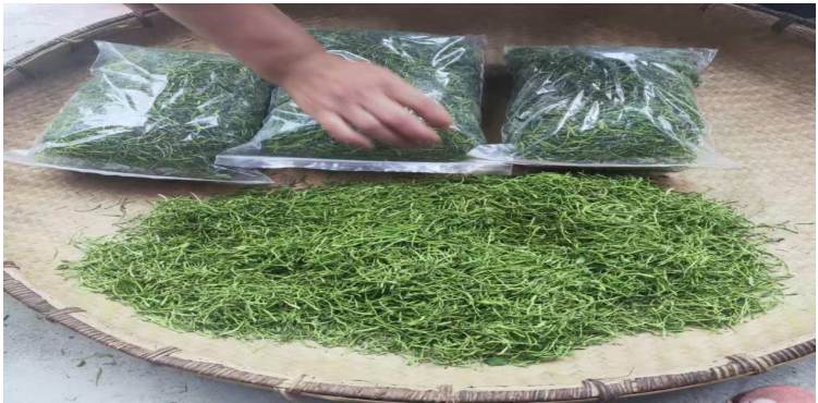 1732262019699 1732262019699.png