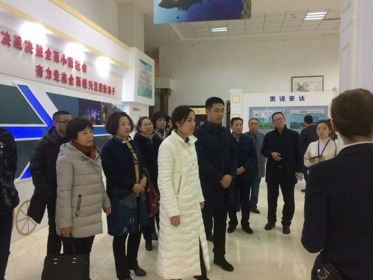 20171201154622_kn8yfeux3b 20171201154622_kn8yfeux3b.jpg?v=1765703591397