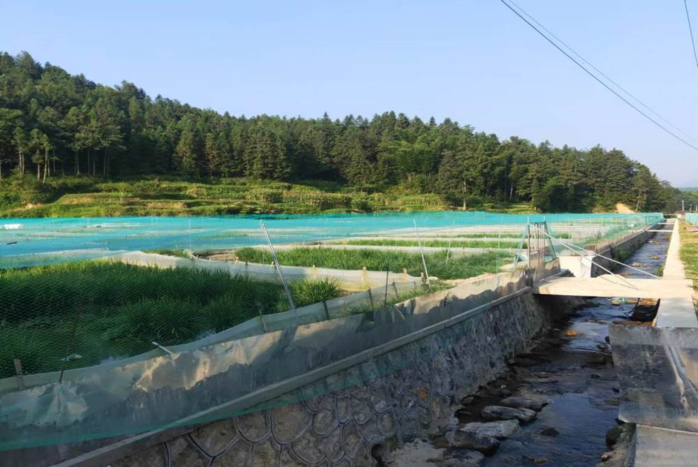 image014 image014.jpg