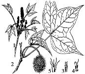 pagenumber_ebook=141,pagenumber_book=141