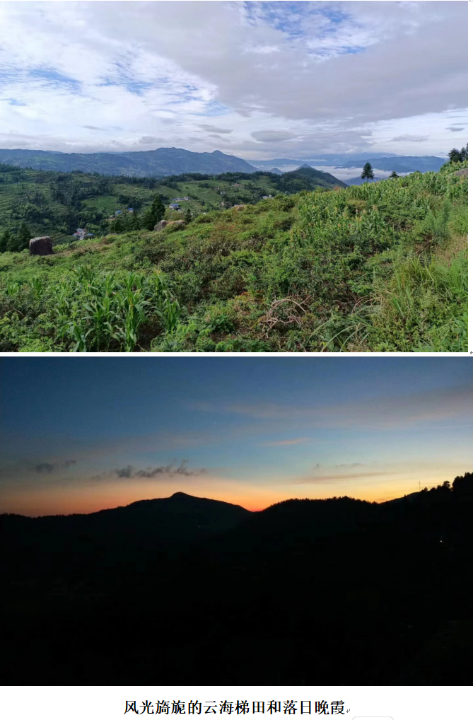 1732261436621 1732261436621.png