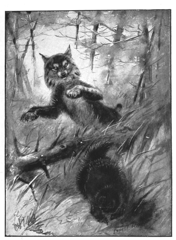 pagenumber_ebook=157,pagenumber_book=149