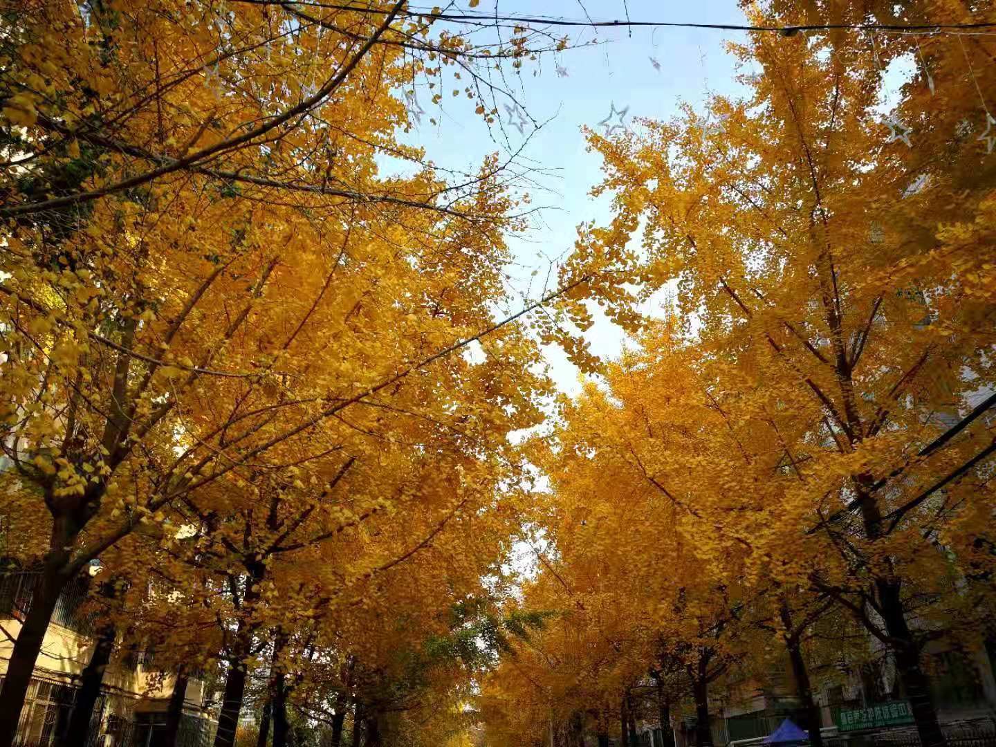 微信图片_20201214183359