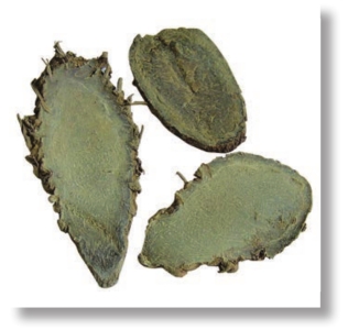 pagenumber_ebook=194,pagenumber_book=181