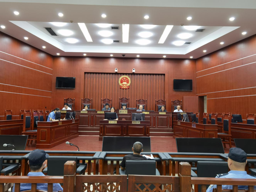 1 1.png?v=1765847827566