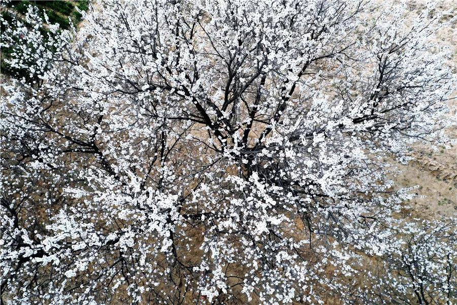 微信图片_20210318082816