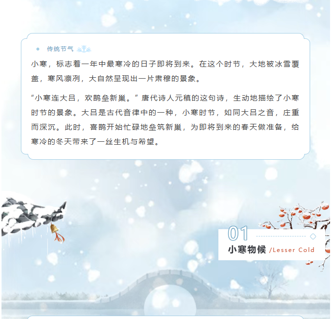 image.png?v=1770178027538