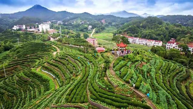 雨后青山分外娇——湖北英山扎实推进国家公共文化服务体系示范区创建