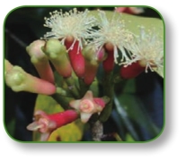 pagenumber_ebook=134,pagenumber_book=121