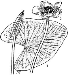 pagenumber_ebook=239,pagenumber_book=239