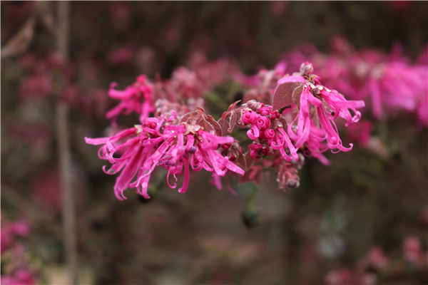 IMG_6346 IMG_6346.jpg