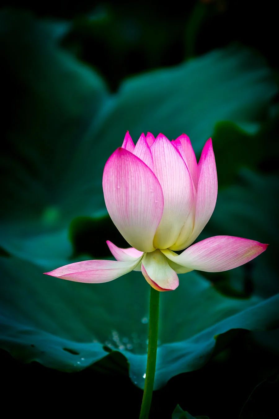 微信图片_20230901143919 微信图片_20230901143919.jpg