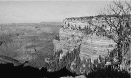 pagenumber_ebook=119,pagenumber_book=109