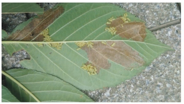 pagenumber_ebook=30,pagenumber_book=22