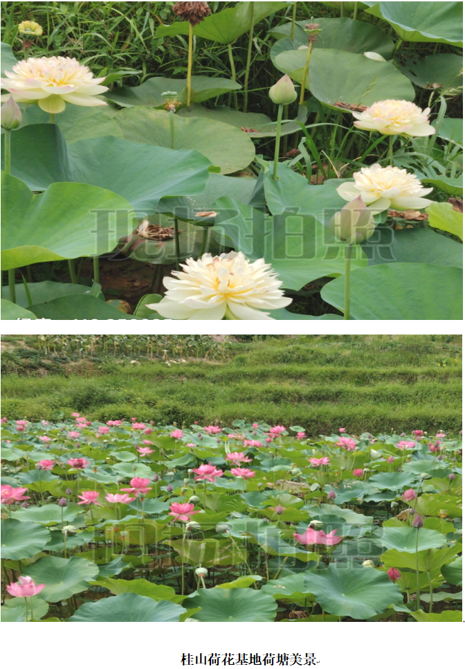 1732340819231 1732340819231.png