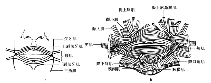 pagenumber_ebook=72,pagenumber_book=63