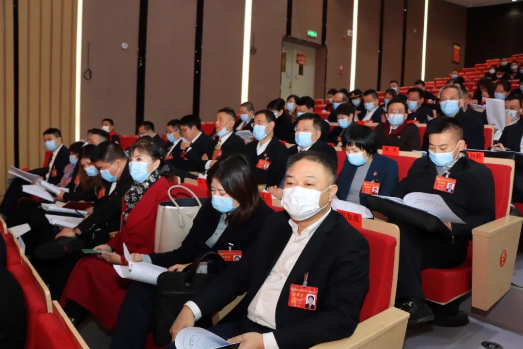 15 15.jpg?v=1765879985990