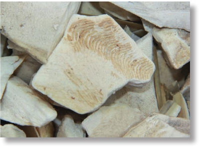 pagenumber_ebook=302,pagenumber_book=289