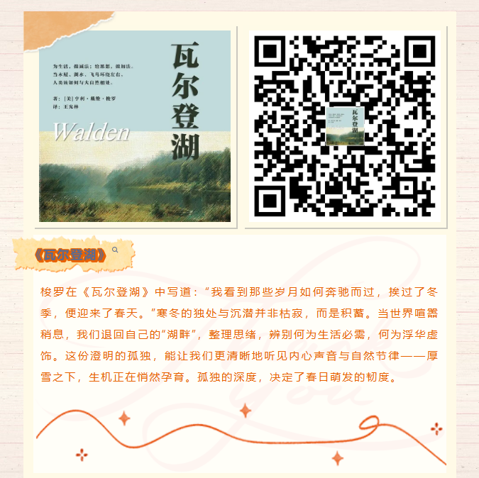 image.png?v=1770177741282