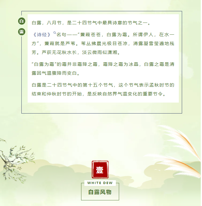 image.png?v=1757819382200