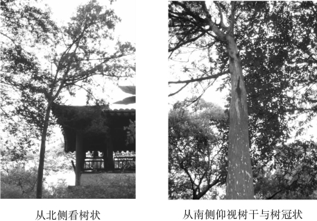 pagenumber_ebook=71,pagenumber_book=71