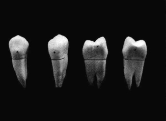 pagenumber_ebook=204,pagenumber_book=195