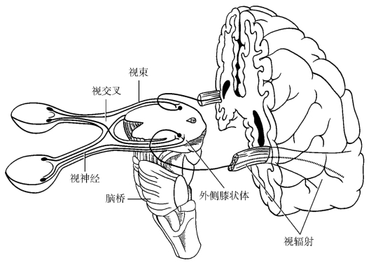 pagenumber_ebook=67,pagenumber_book=42