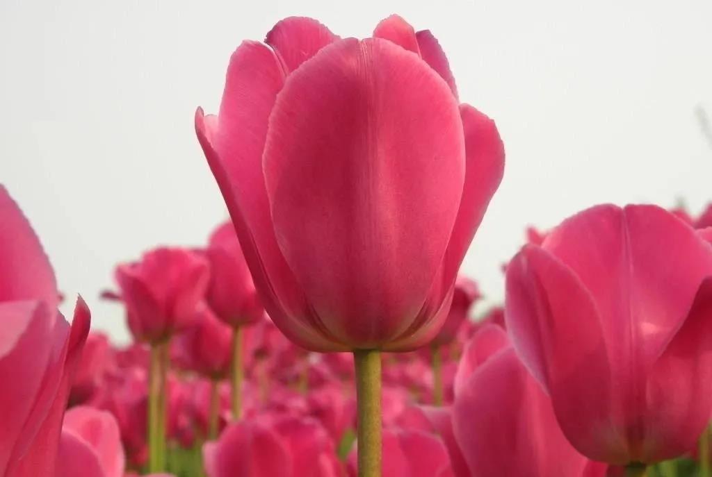 微信图片_20210329153327 微信图片_20210329153327.jpg