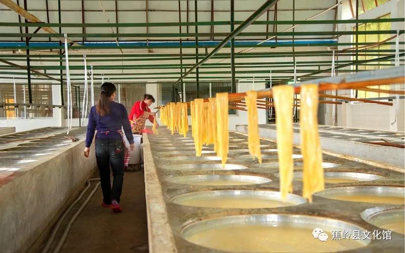 11 11.jpg?v=1765891042459