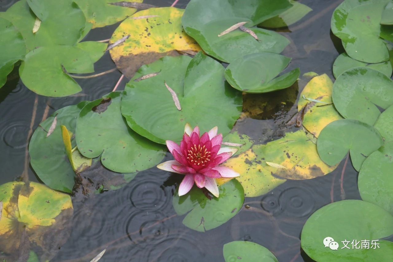 4b4268ab62c14c5b9697525bcbd46bf6 4b4268ab62c14c5b9697525bcbd46bf6.jpg