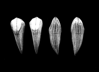 pagenumber_ebook=199,pagenumber_book=190