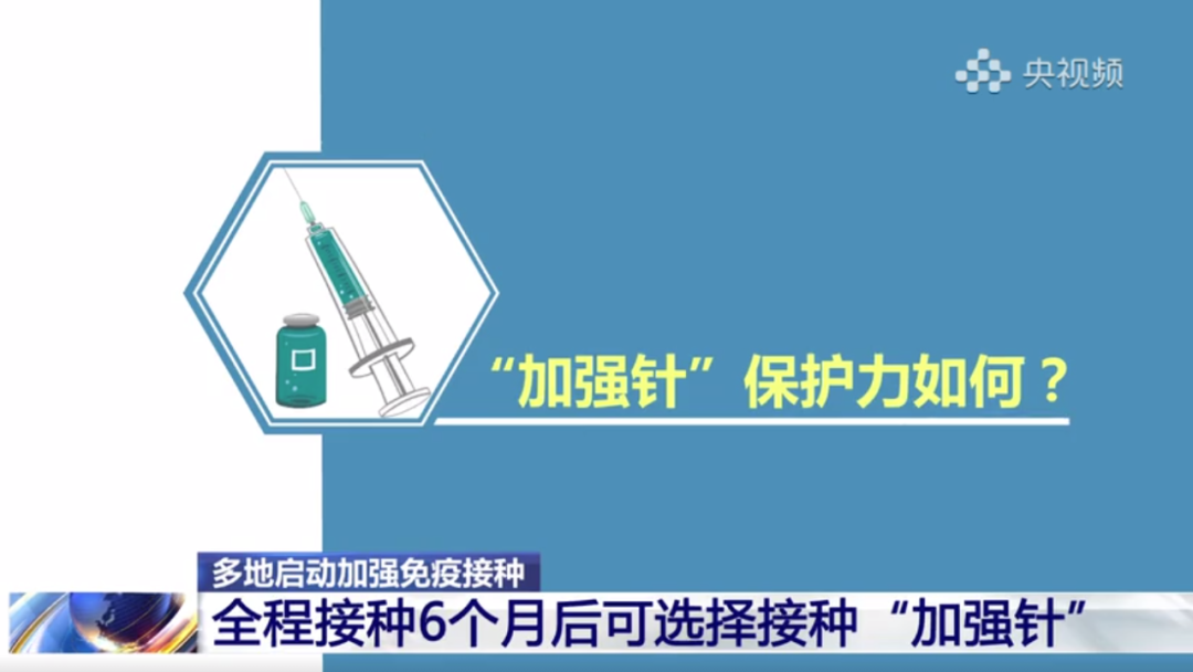 5 5.png?v=1765954169671