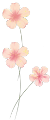 00.png?v=1749259229261