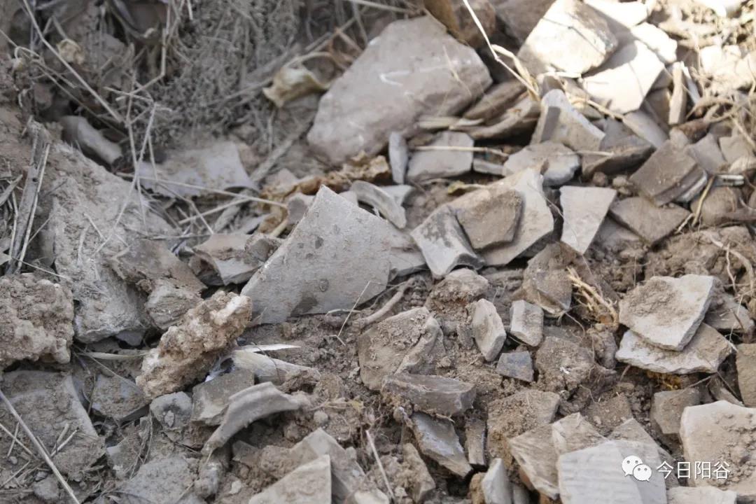 微信图片_20210202092519