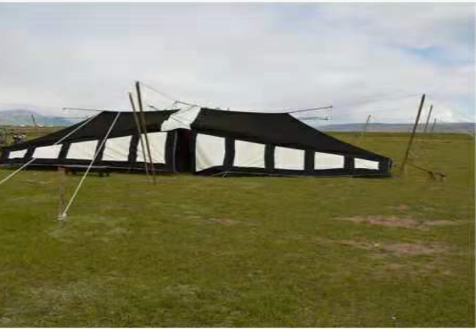 image image.png?v=1765669291486