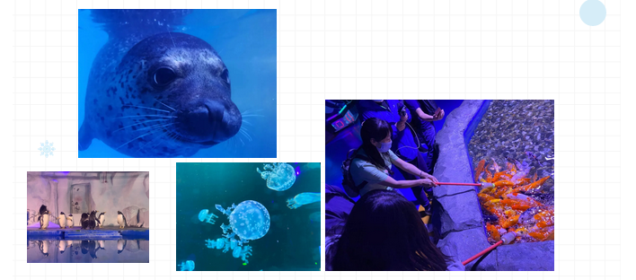 微信截图_20201208195602 微信截图_20201208195602.png