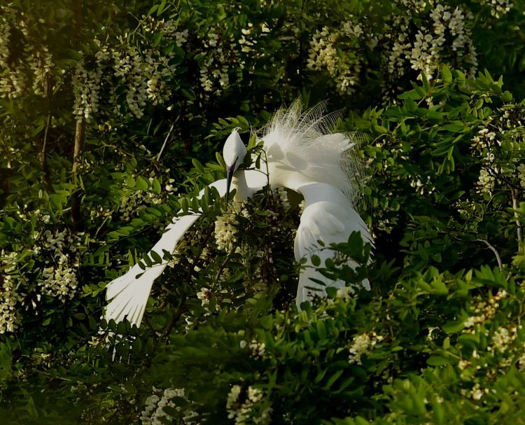 微信图片_20210506094954