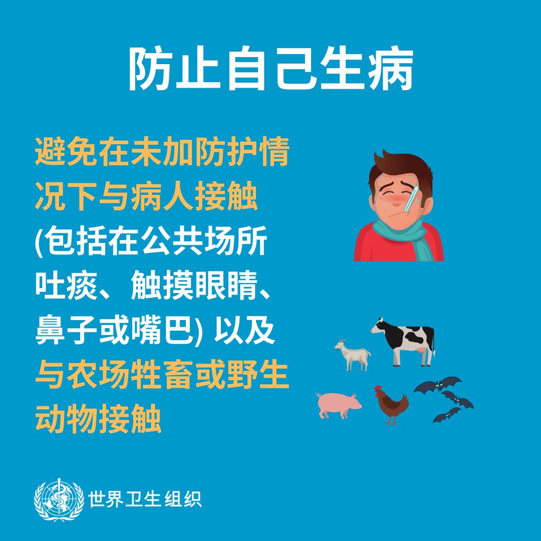 11 11.jpg?v=1765880163451