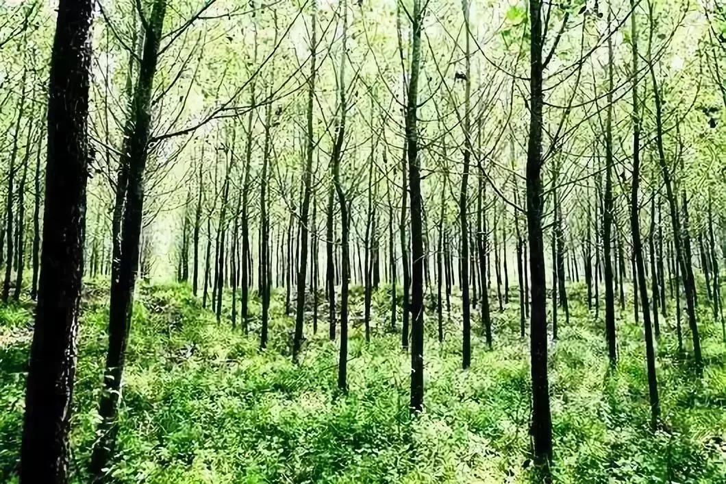 微信图片_20201224103757