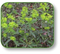 pagenumber_ebook=88,pagenumber_book=75