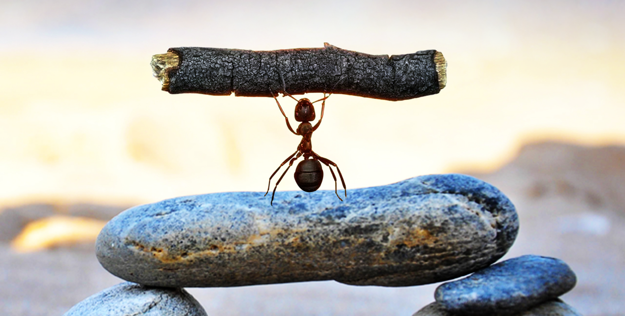 image001 image001.png?v=1764640553303