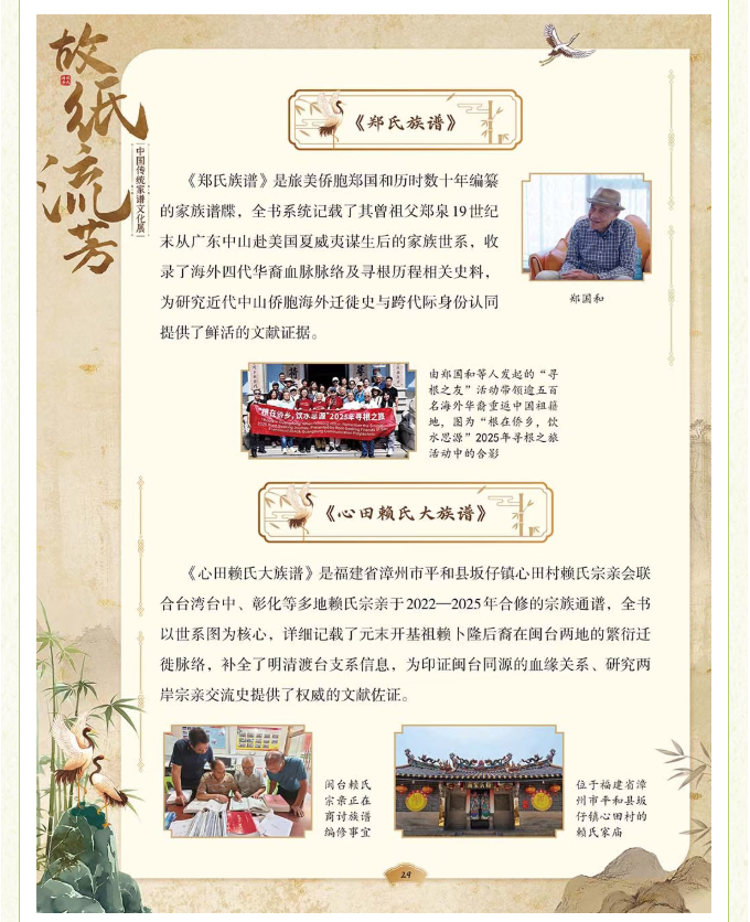 image.png?v=1775271545637