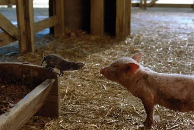 u=2439133654,1933216836&fm=173&s=AE9215CB6823B75F0640013D03008043&w=640&h=429&img