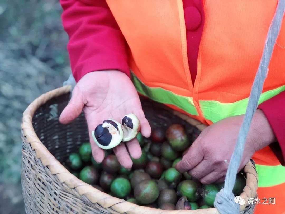 4 4.jpg?v=1765897829235