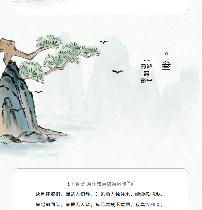 image.png?v=1770177939924