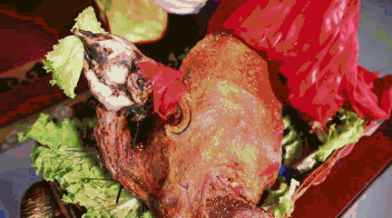 0293641f876eae55dfe21369bc74757c 0293641f876eae55dfe21369bc74757c.jpg