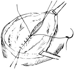 pagenumber_ebook=521,pagenumber_book=506
